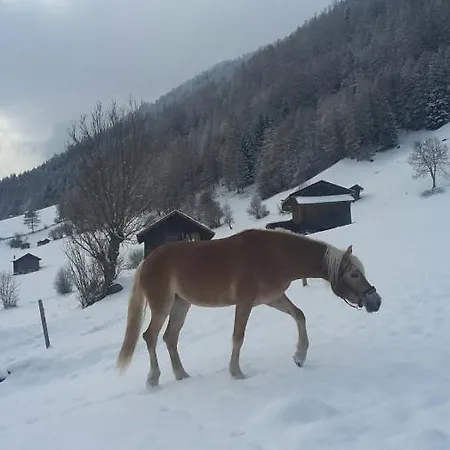 Pavillon アパート